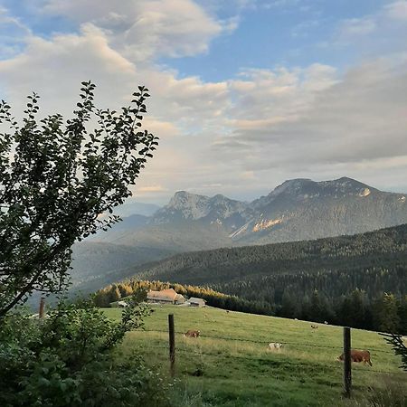 Вілла Stoecklhof Зігсдорф Екстер'єр фото